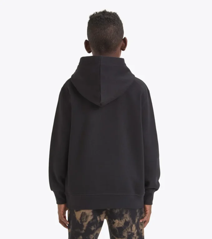 Jb. Hoodie Fregio Hoodie cu detalii decolorate – Băieți